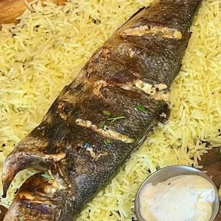Fish of the day